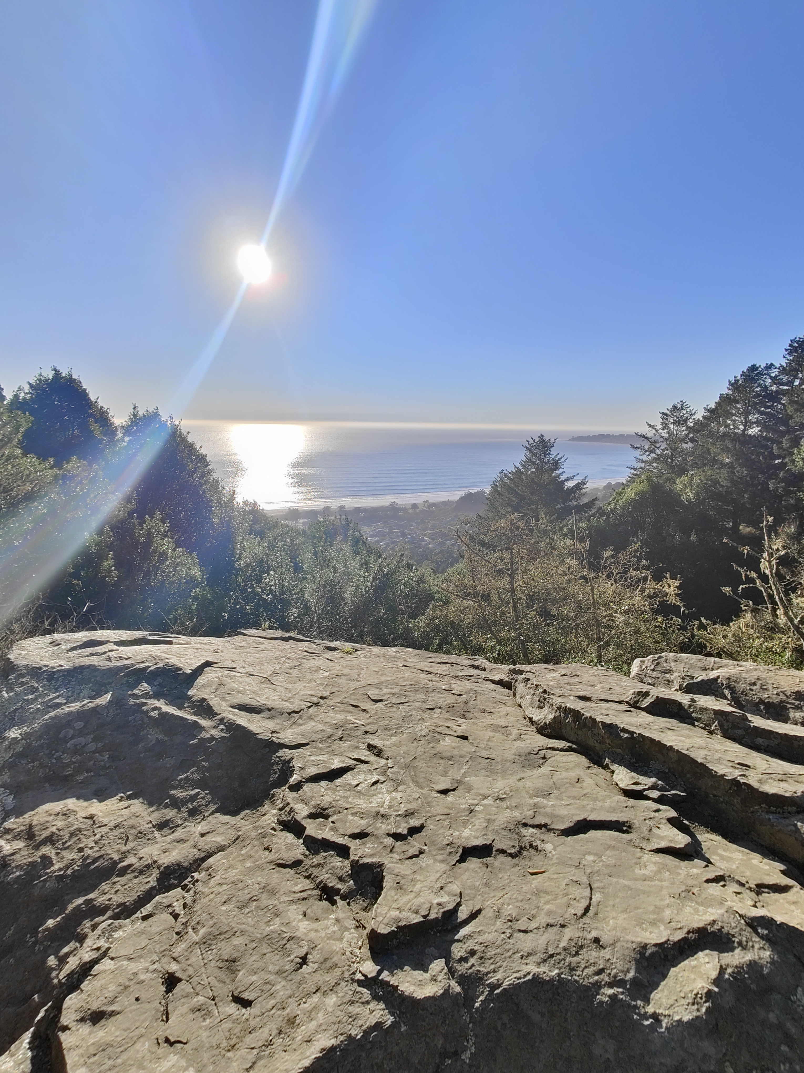 view from Mount Tamalpais